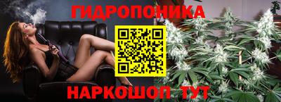 прущие грибы Конаково