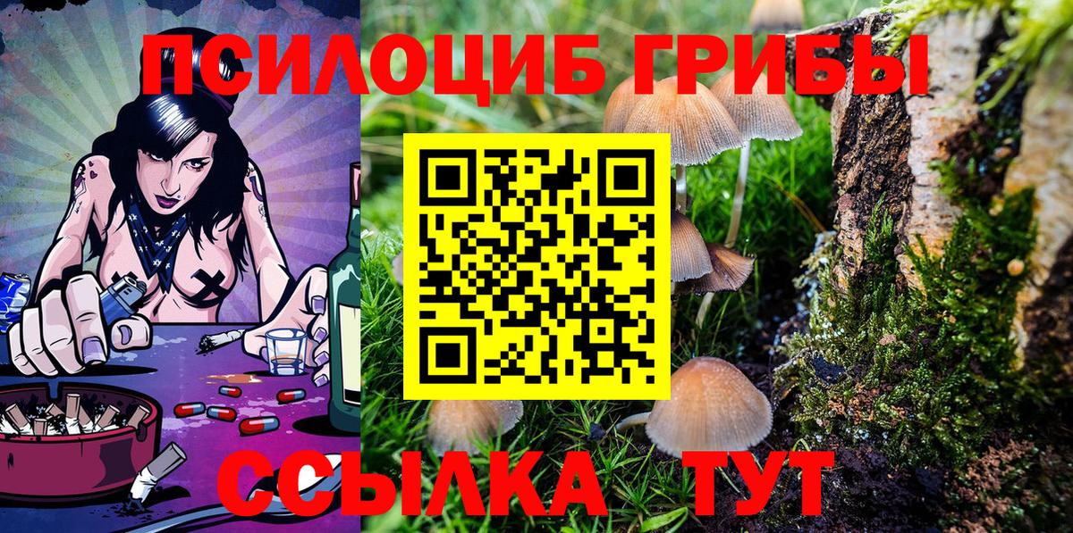 Костомукша  Галлюциногенные грибы Psilocybe  Вход с VPN 