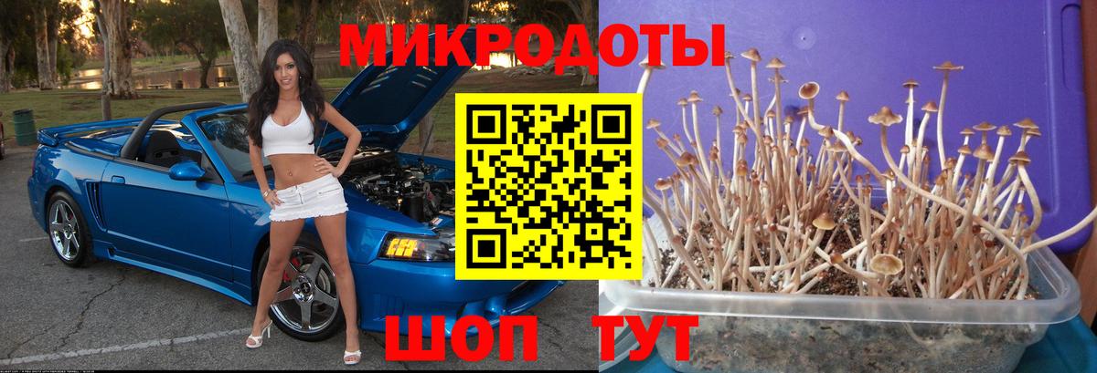 Галлюциногенные грибы ЛСД Костомукша